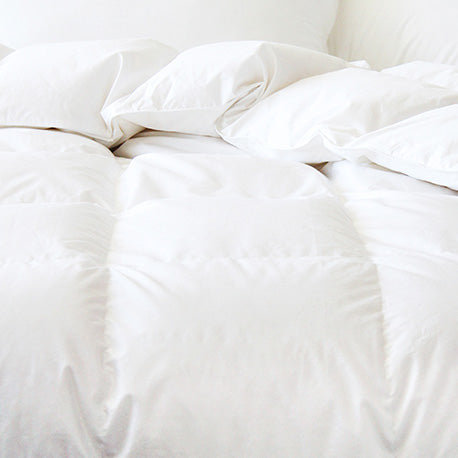 Duvet Chinook- hypoalergène-coton sateen blanc